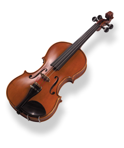 Violin | Musician Instrument Protection